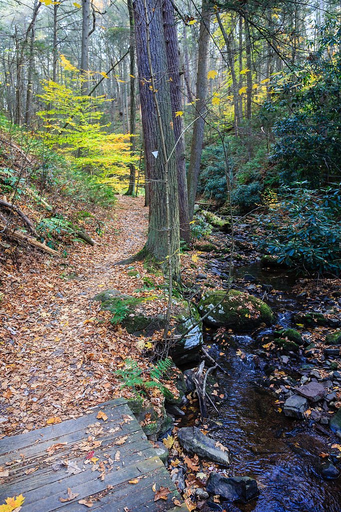 Tillman Falls waterfall