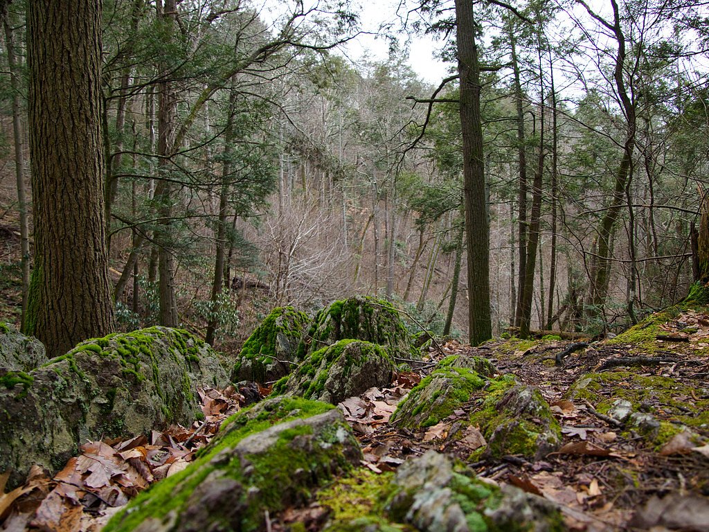 Tillman Falls waterfall