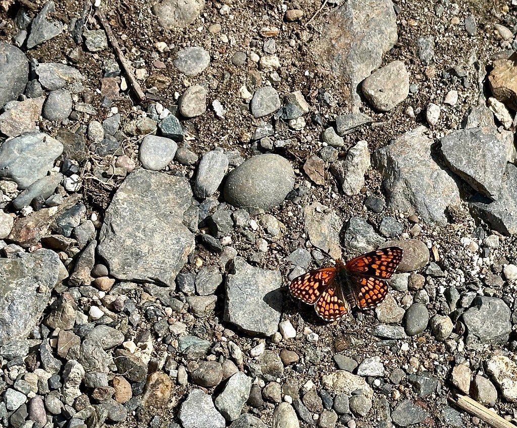 Ti'lomikh Falls waterfall