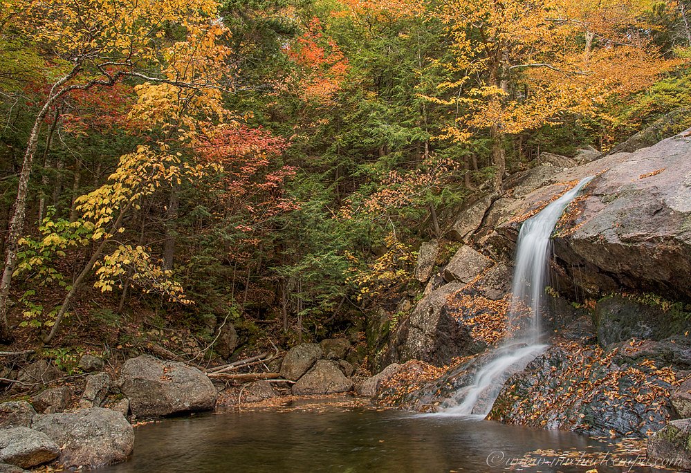 Thompson Falls waterfall