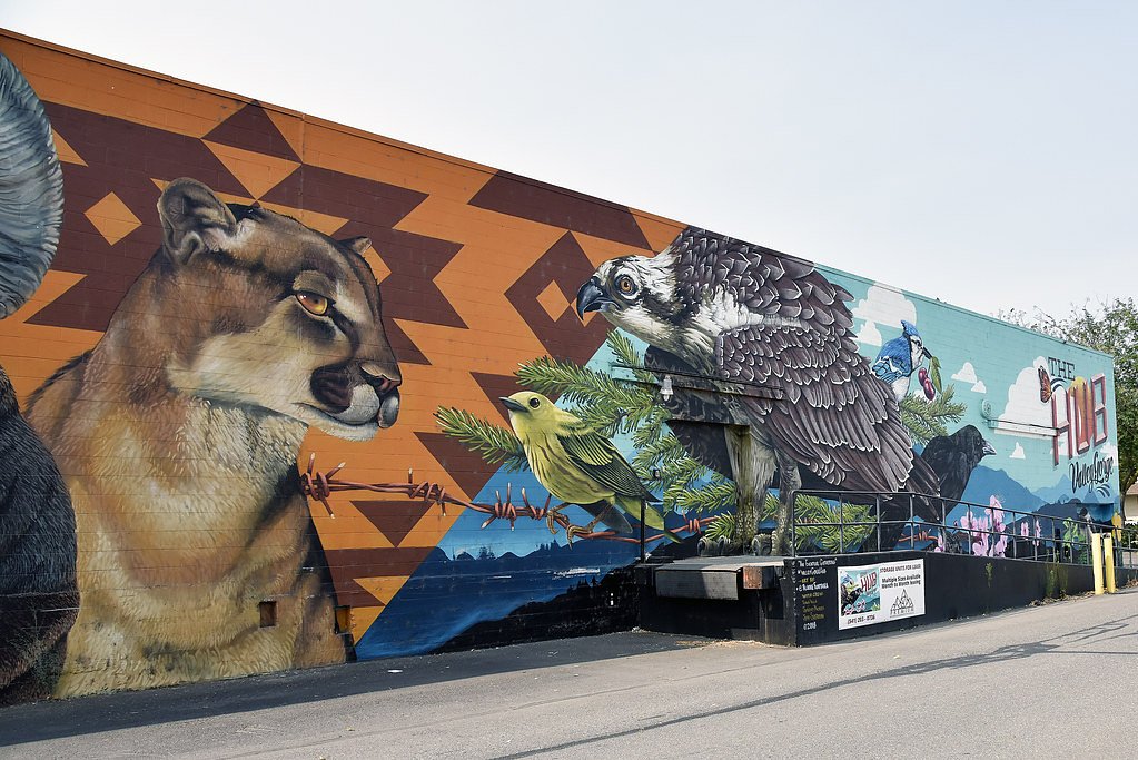 Thompson Falls waterfall