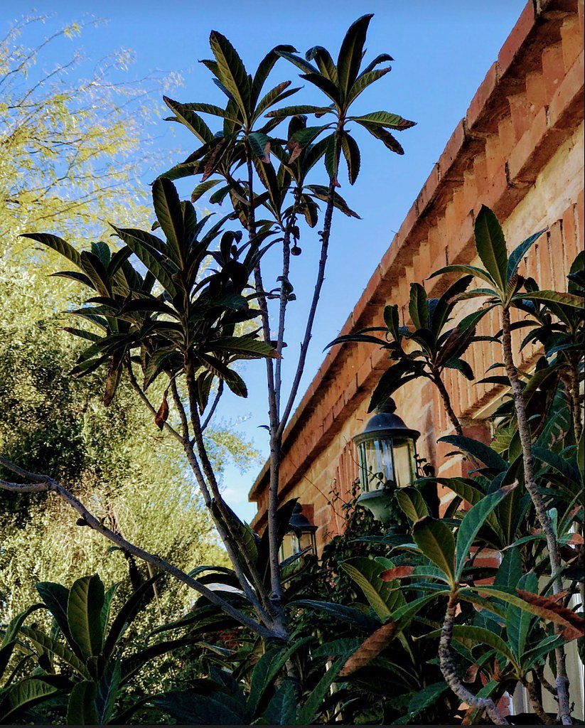 The Fall Off waterfall