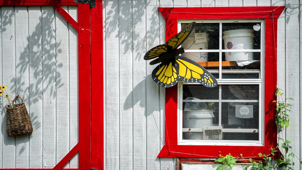 The Cascades waterfall