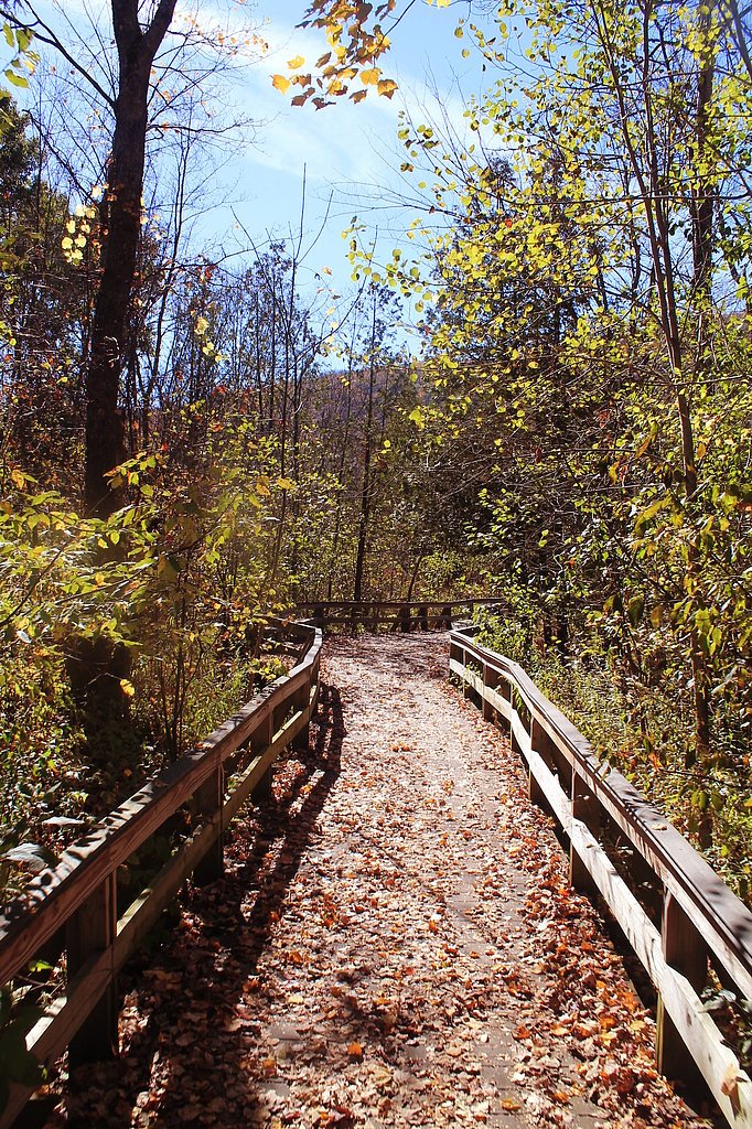 The Cascades waterfall