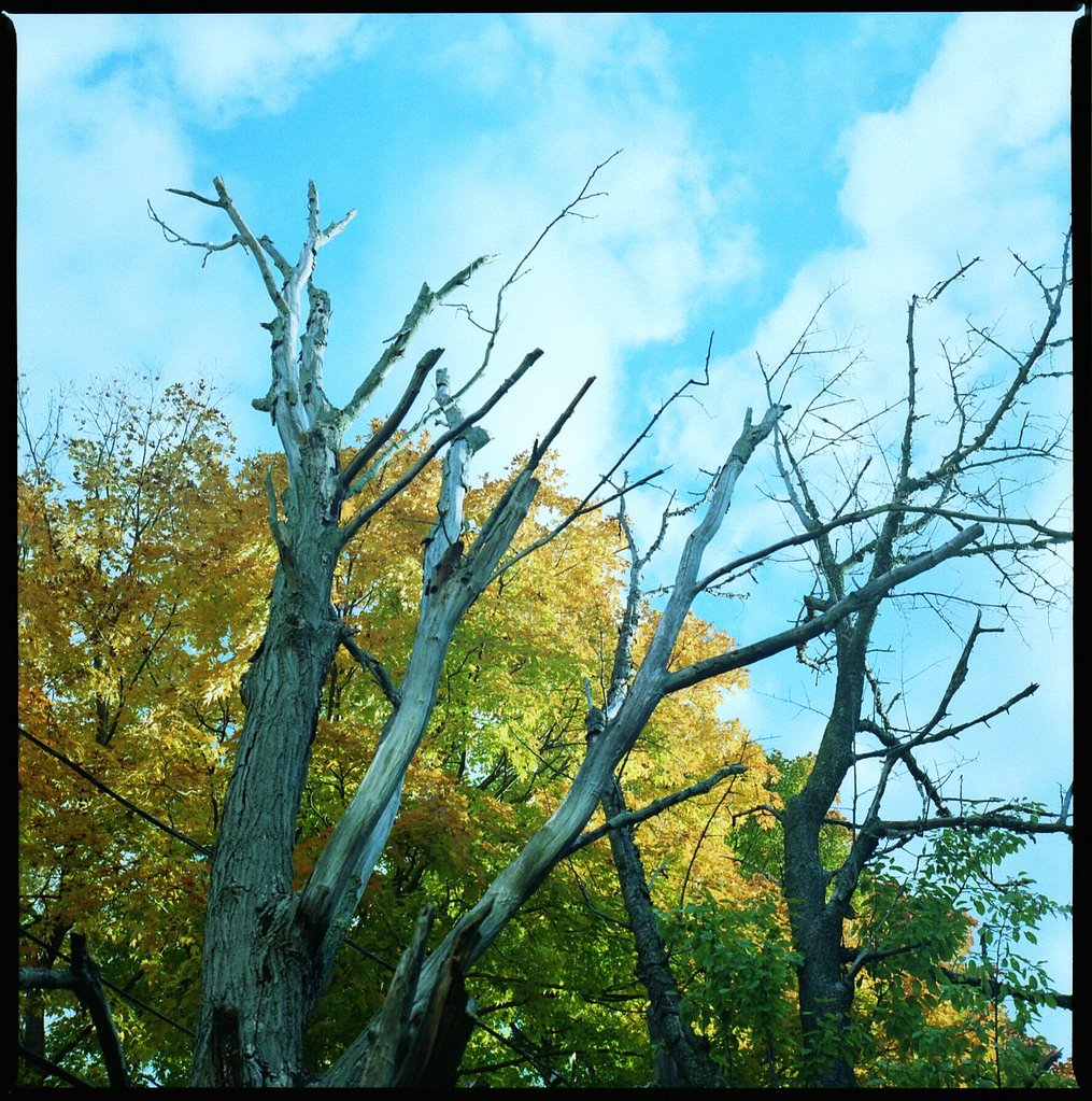 The Cascade waterfall
