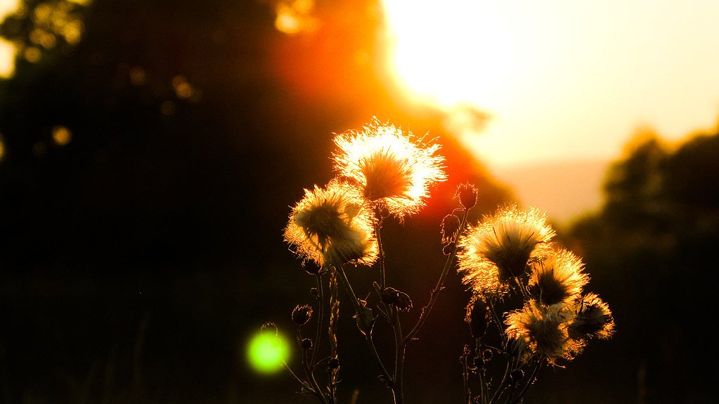 The Cascade waterfall