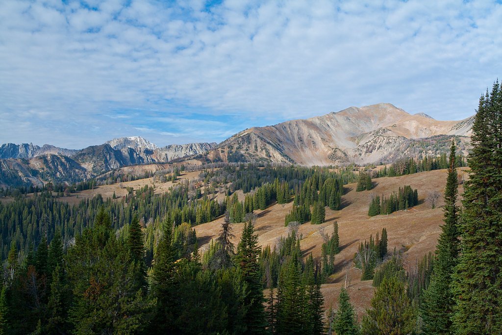 Taylor Falls waterfall