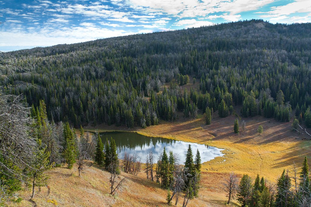 Taylor Falls waterfall