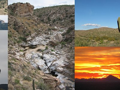 Tanque Verde Falls