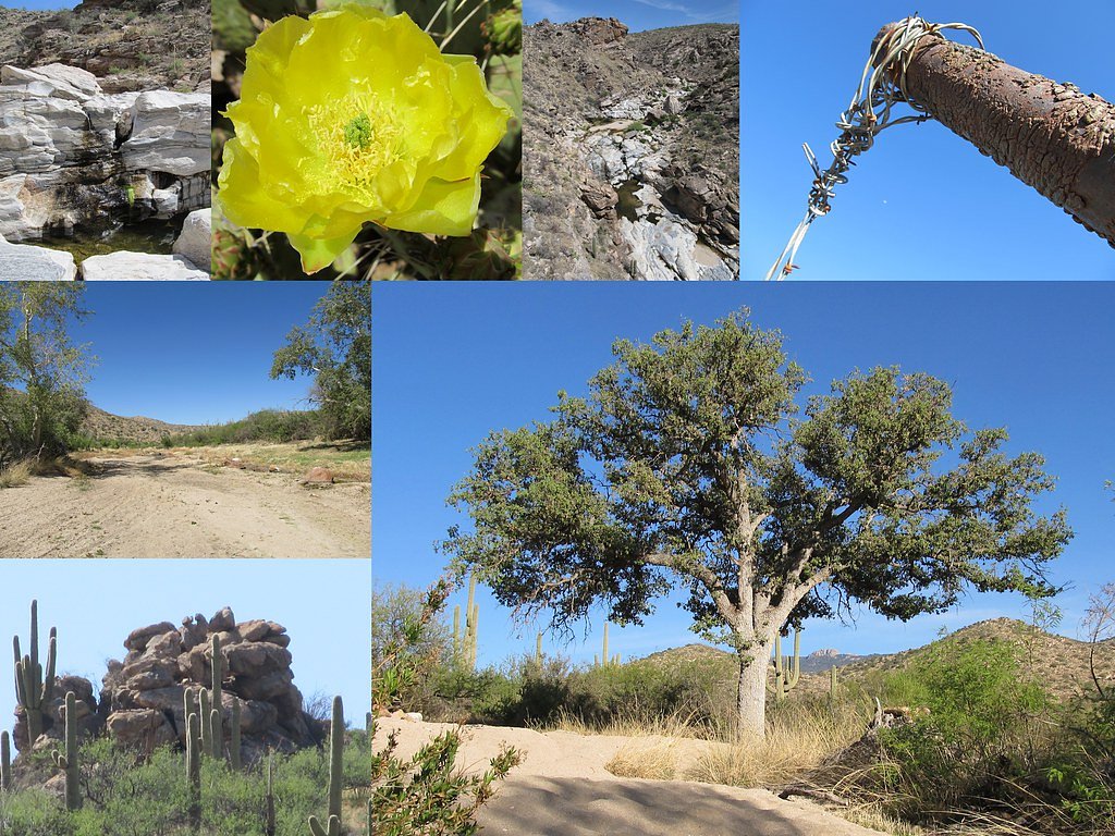 Tanque Verde Falls waterfall