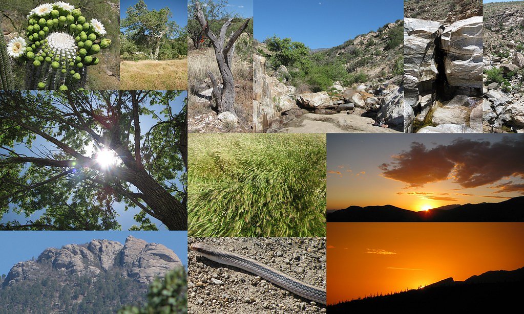 Tanque Verde Falls waterfall