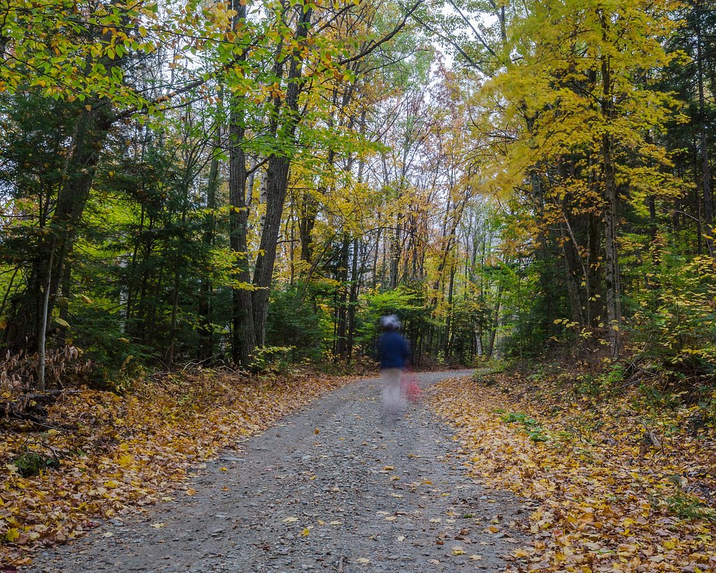 Tannery Falls waterfall