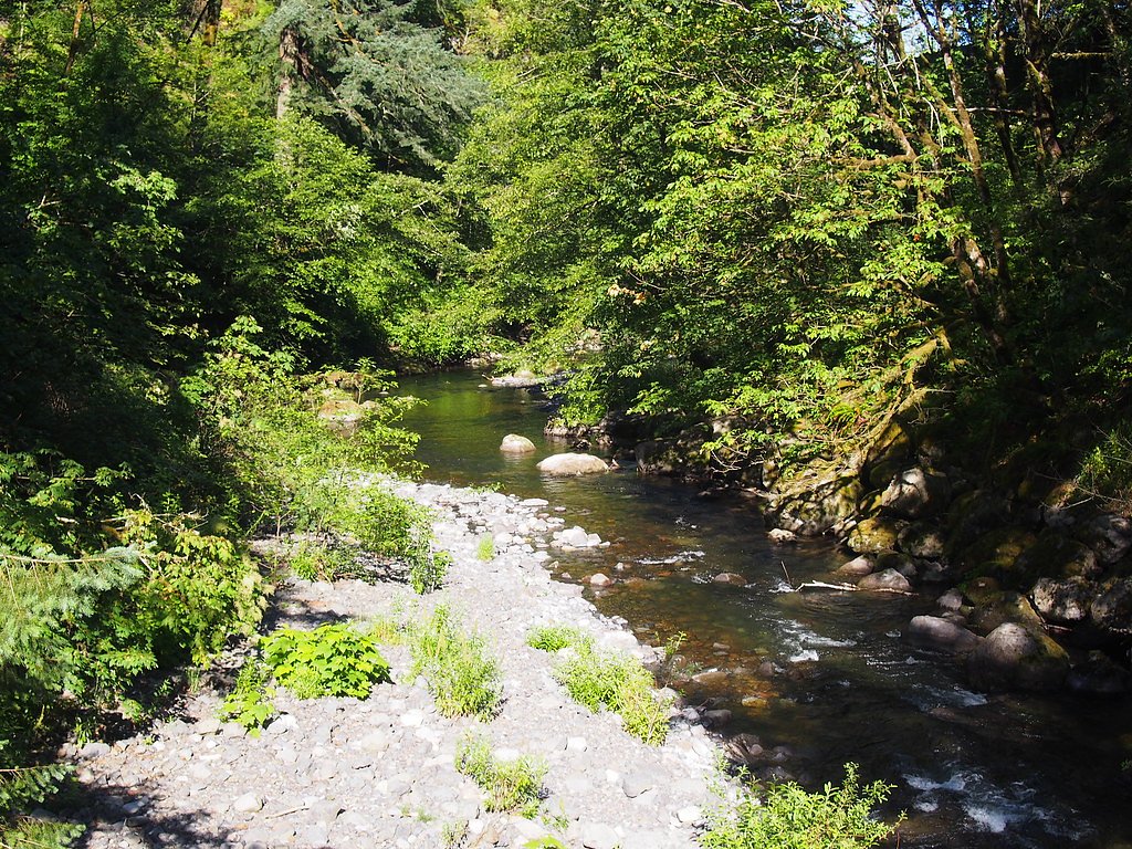 Tanner Creek Falls waterfall