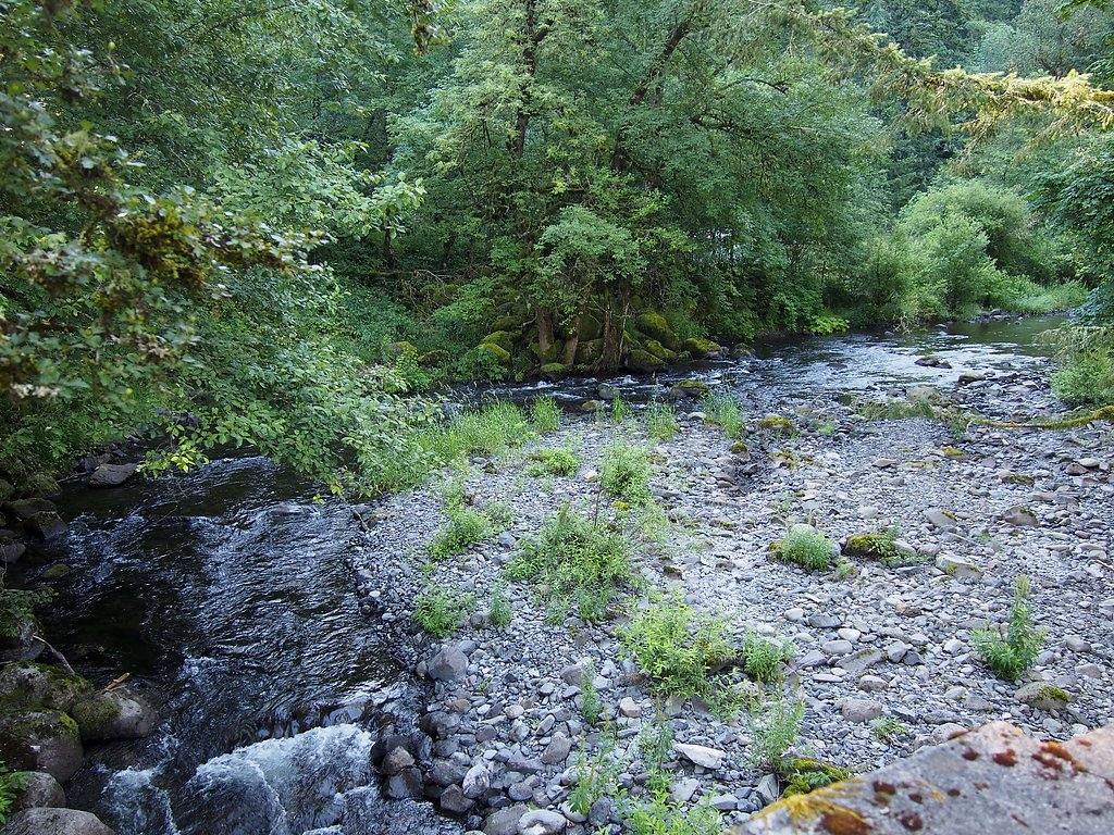 Tanner Creek Falls waterfall