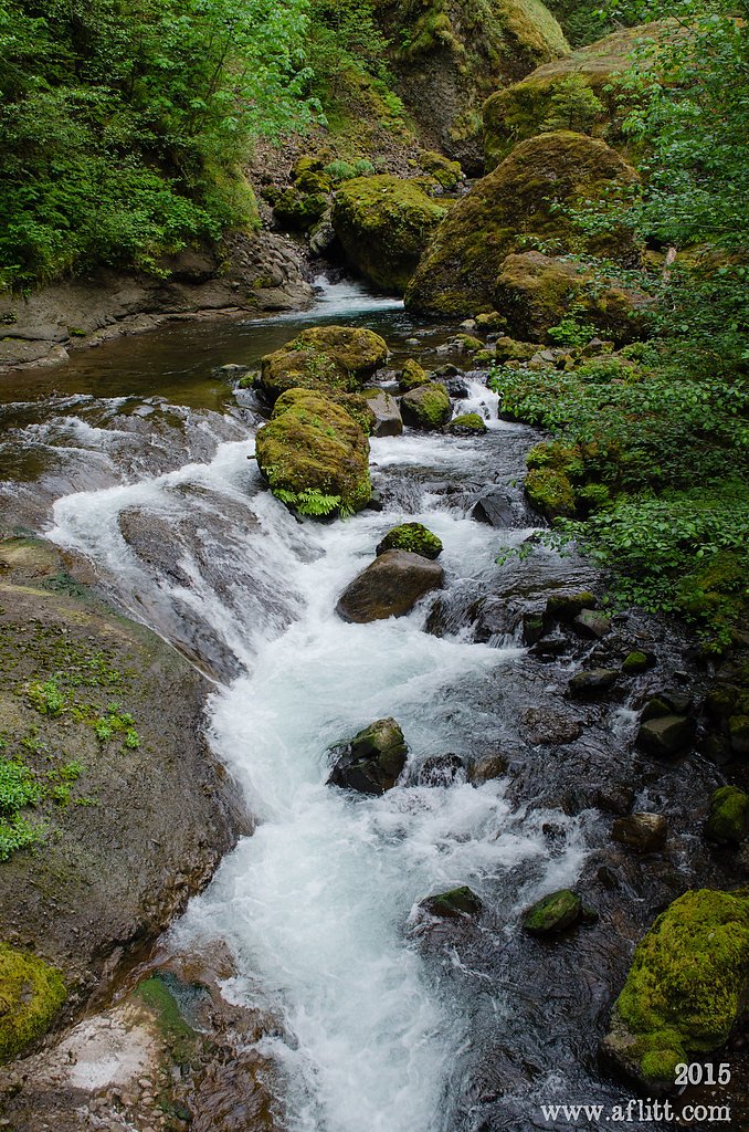 Tanner Creek Falls waterfall