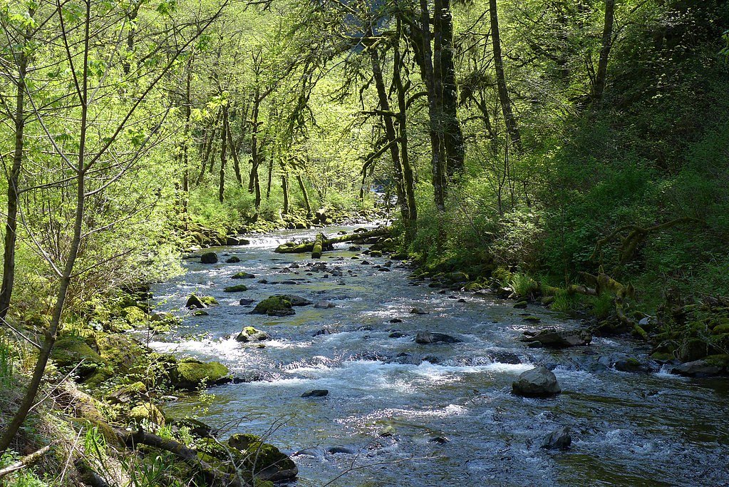 Tanner Creek Falls waterfall