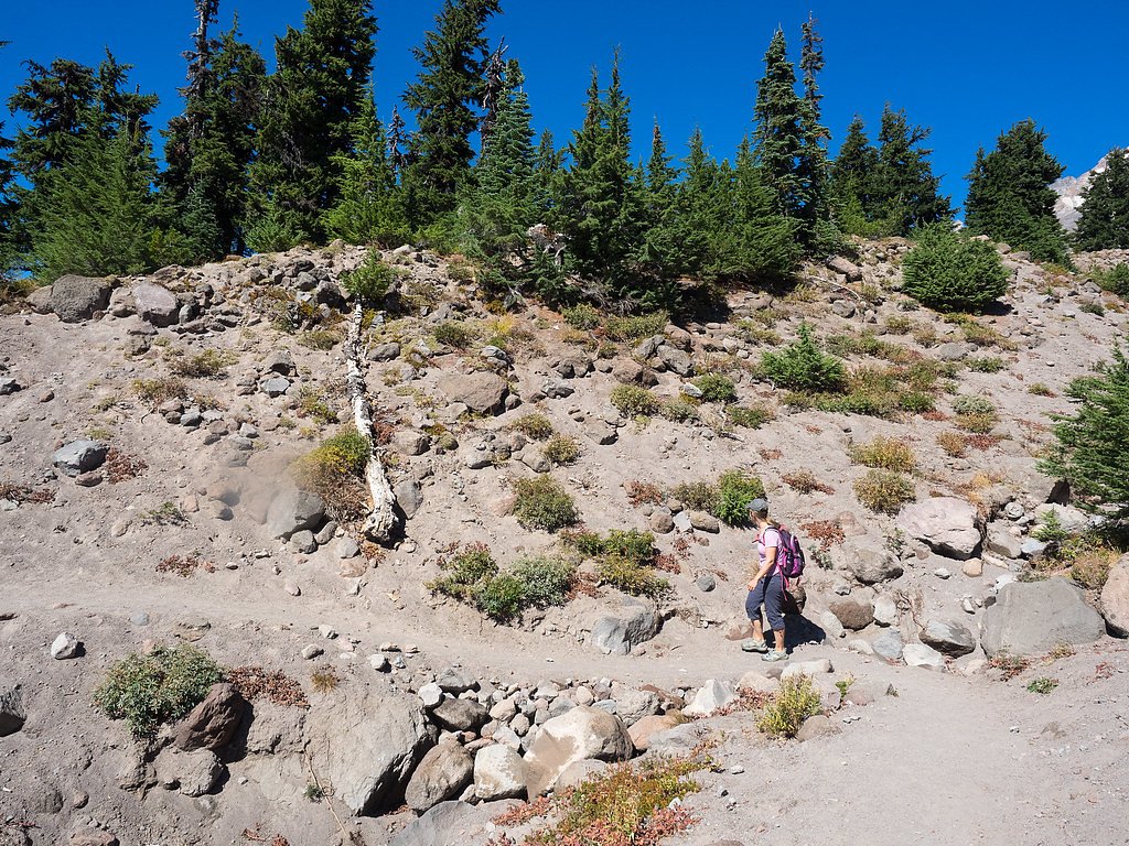 Switchback Falls waterfall