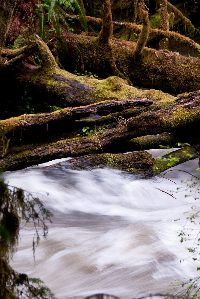 Sweet Creek Falls waterfall