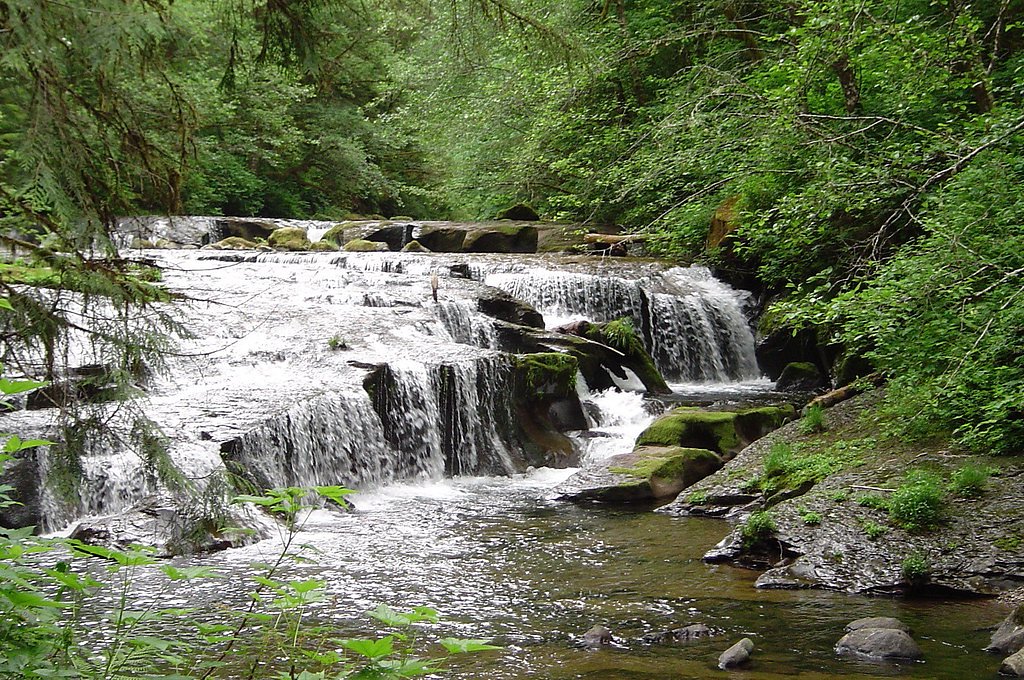 Sweet Creek Falls waterfall