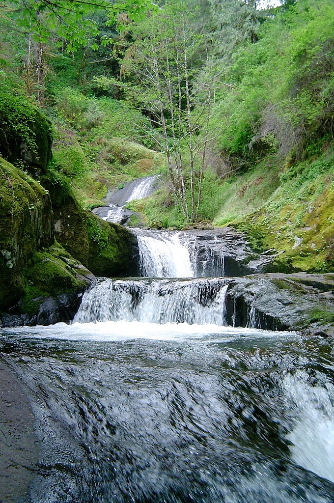 Sweet Creek Falls waterfall