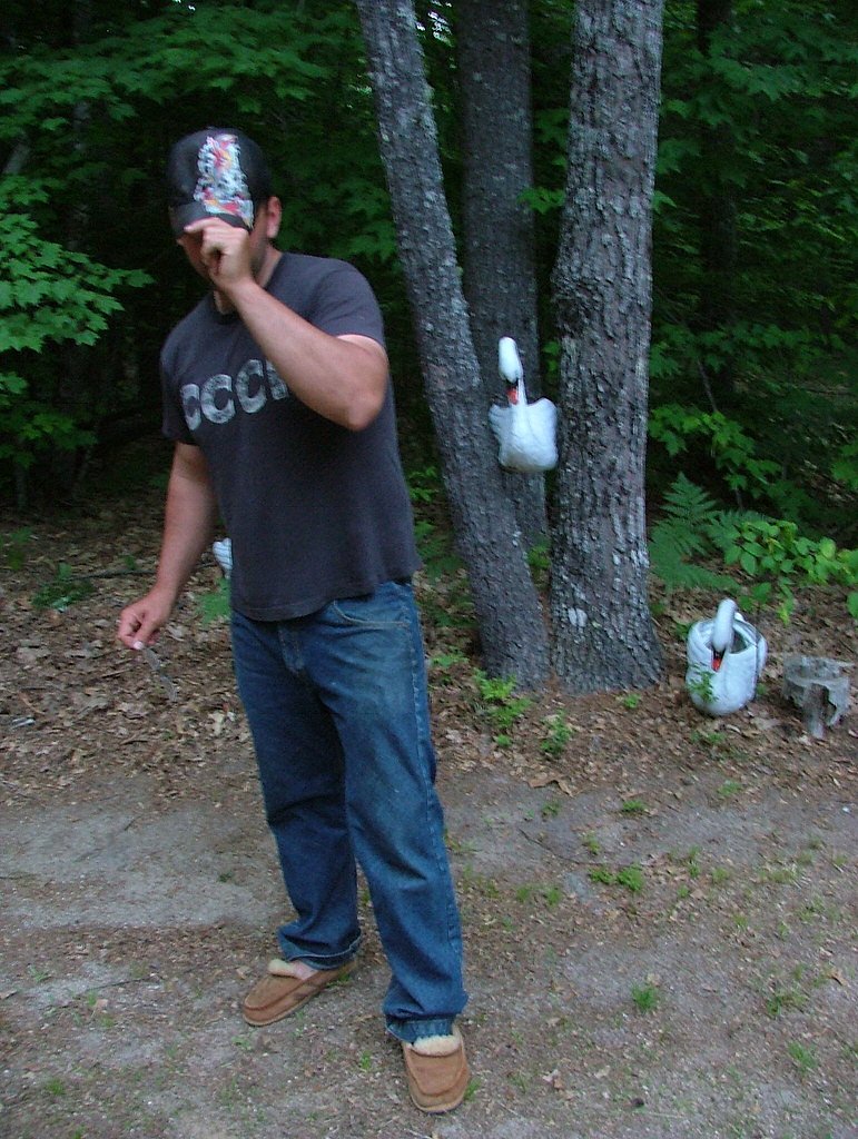 Swans Falls waterfall