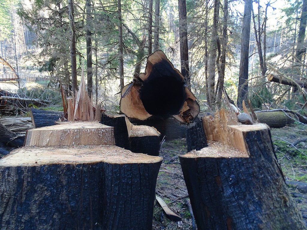 Susan Creek Falls waterfall