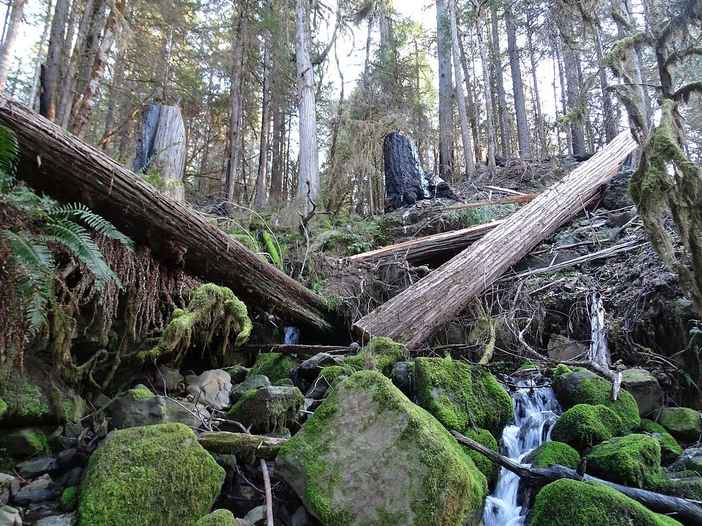Susan Creek Falls waterfall