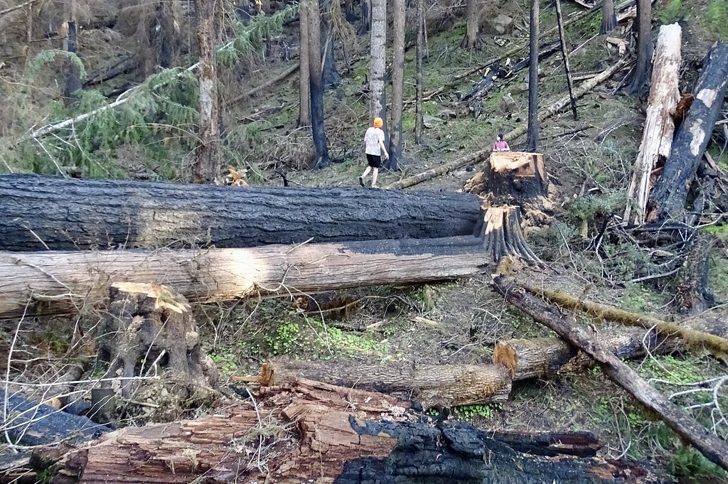 Susan Creek Falls waterfall