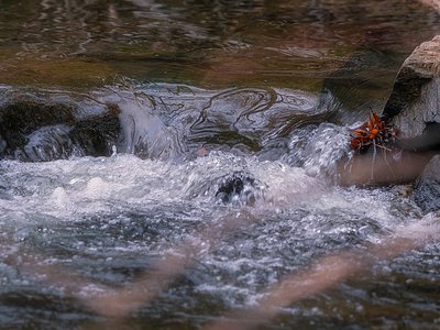 Sunday Falls