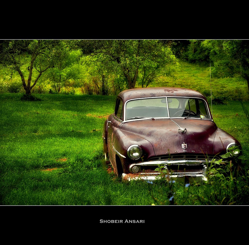 Summer Falls waterfall