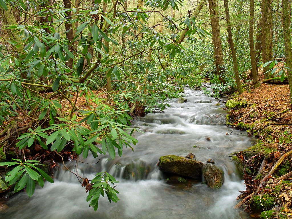 Sugar Run Falls waterfall