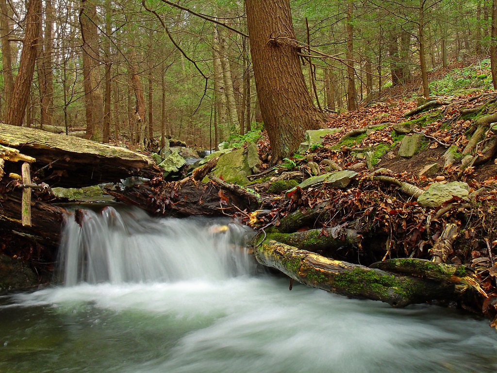 Sugar Run Falls waterfall