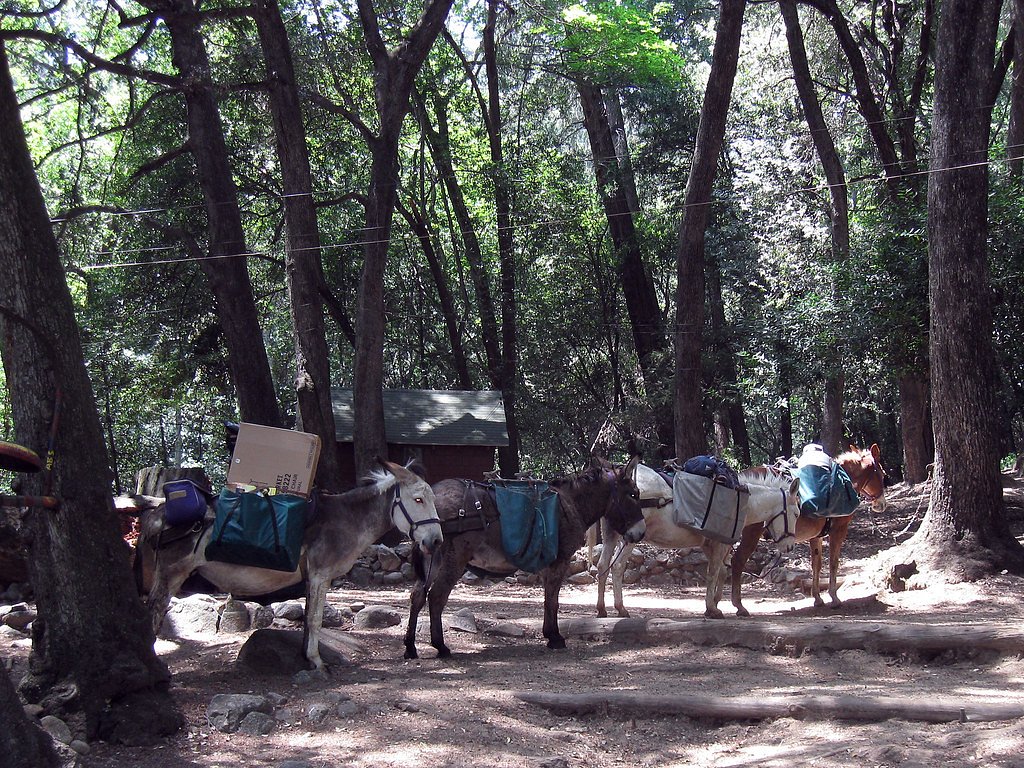 Sturtevant Falls waterfall