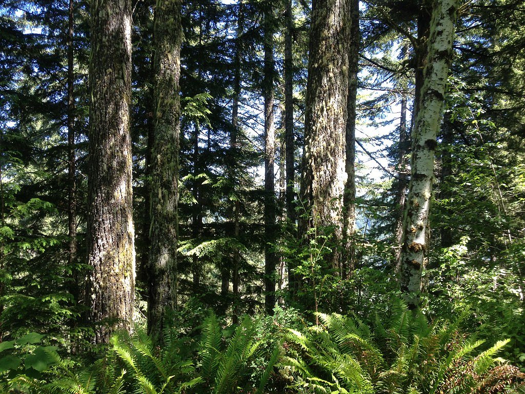 Stulls Falls waterfall