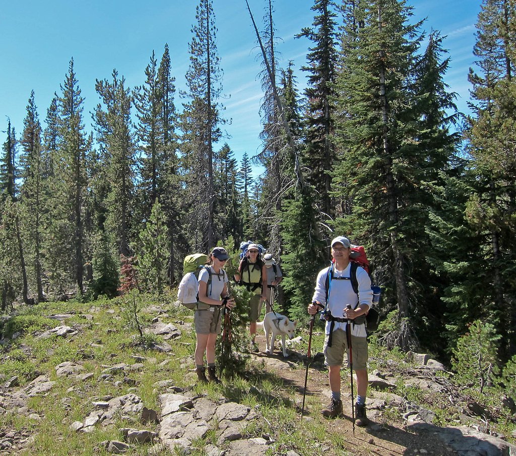 Stuart Falls waterfall