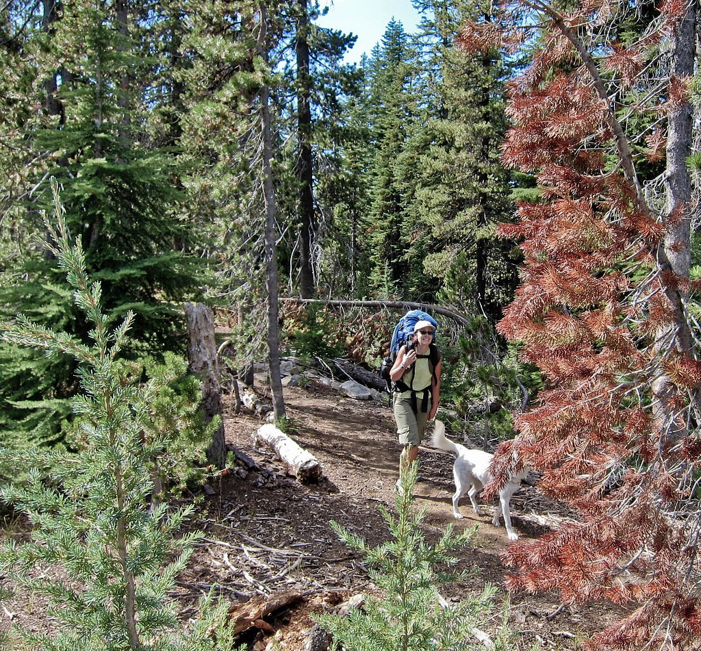 Stuart Falls waterfall
