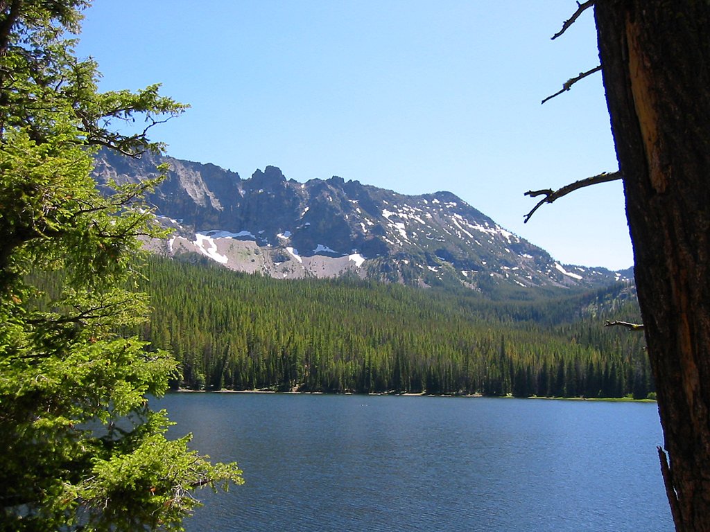 Strawberry Falls waterfall