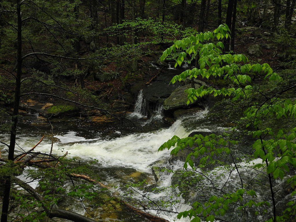 Stony Kill Falls waterfall
