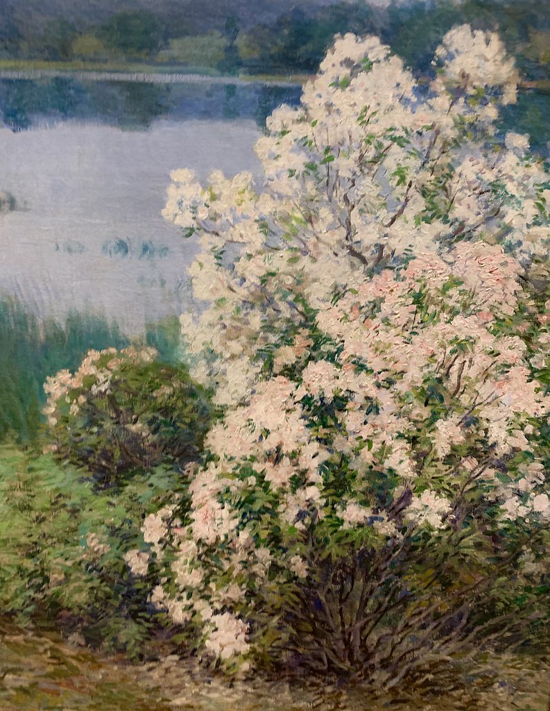 Steeles Falls waterfall