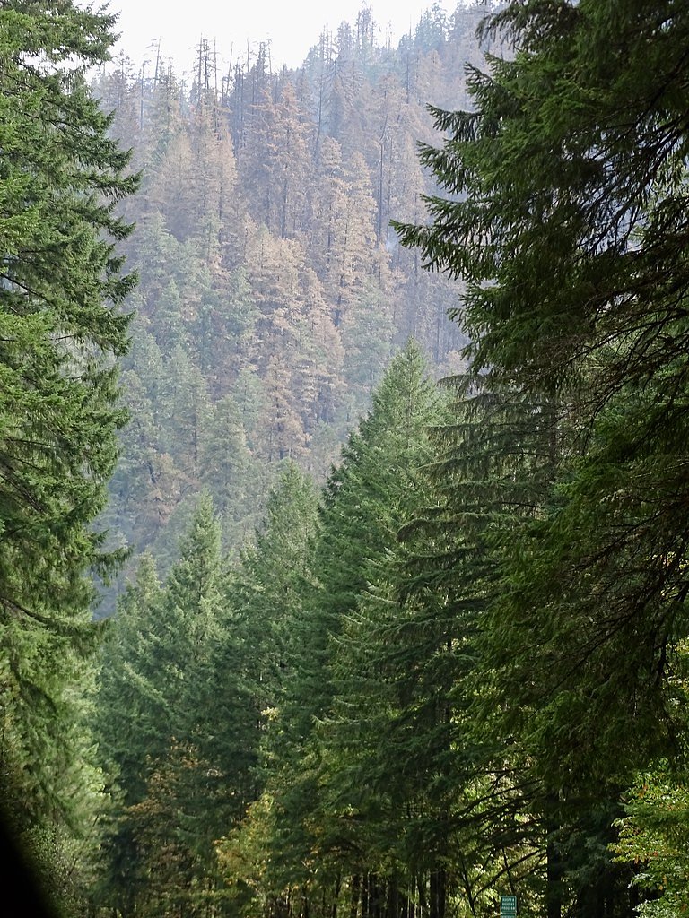 Steamboat Falls waterfall
