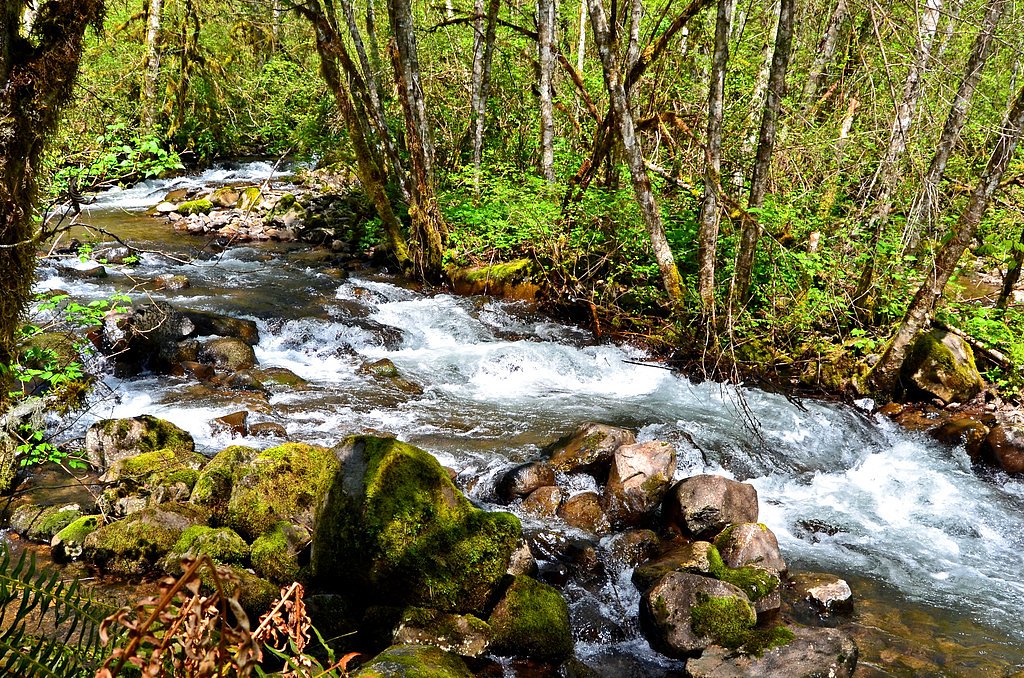 Stasel Falls waterfall