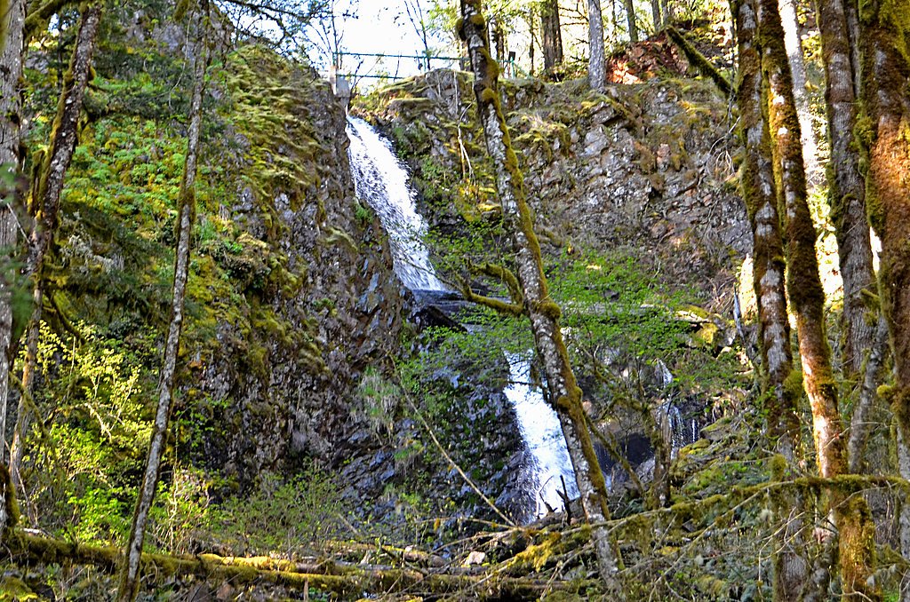Stasel Falls waterfall