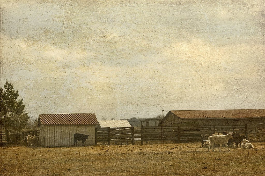 Stark Falls waterfall