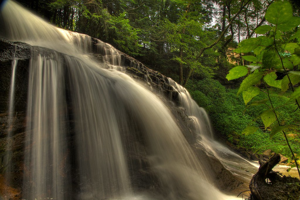 Springfield Falls waterfall
