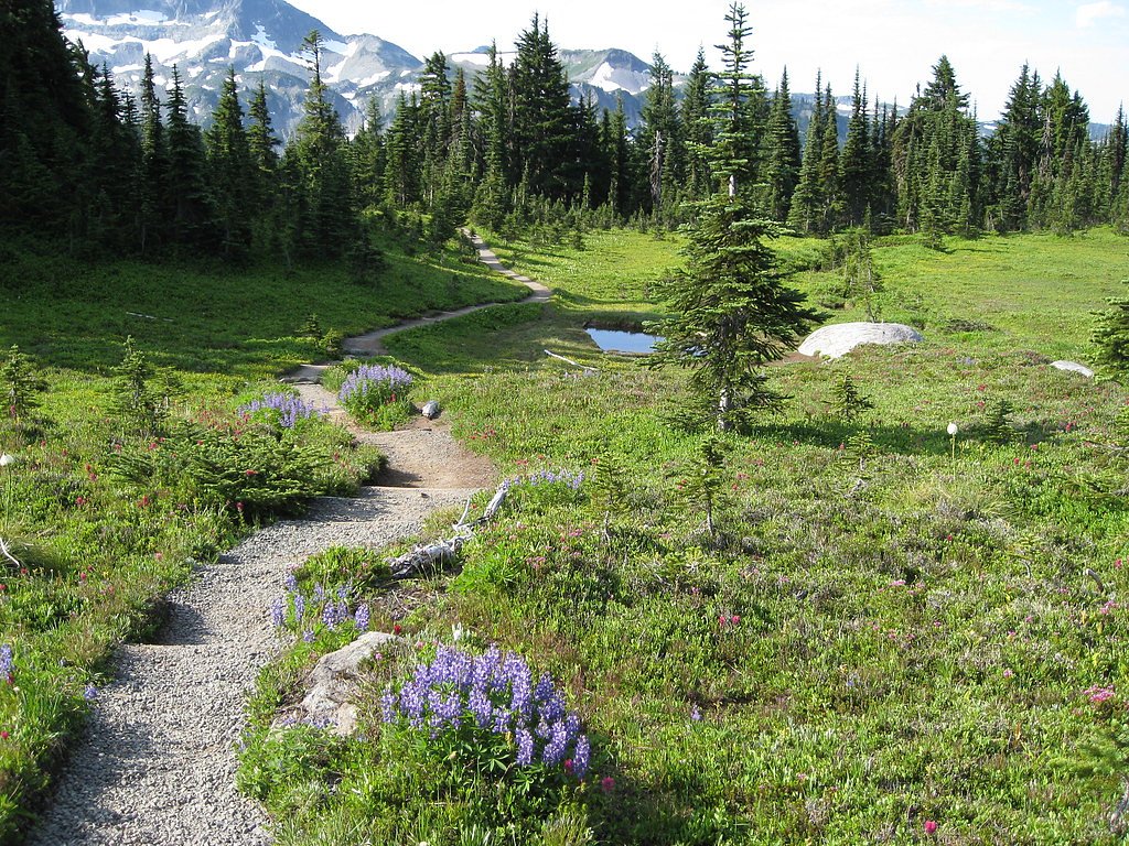 Spray Falls waterfall