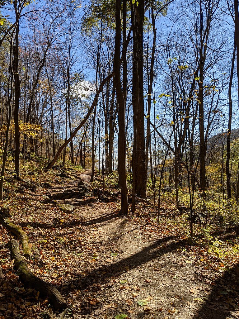 South River Falls waterfall