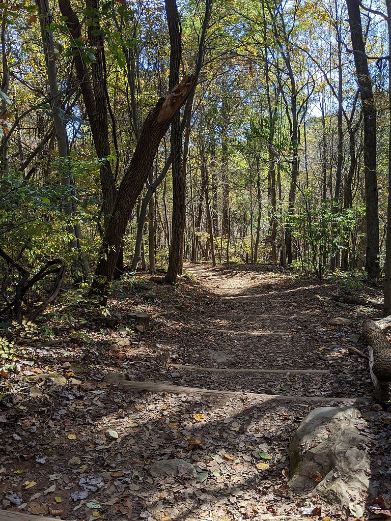 South River Falls waterfall