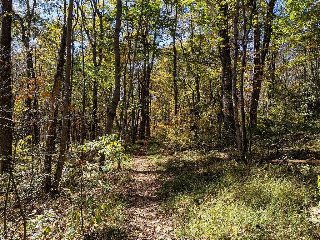 South River Falls waterfall