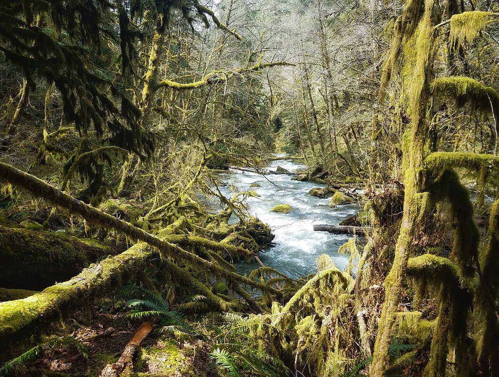 South Fork Falls waterfall