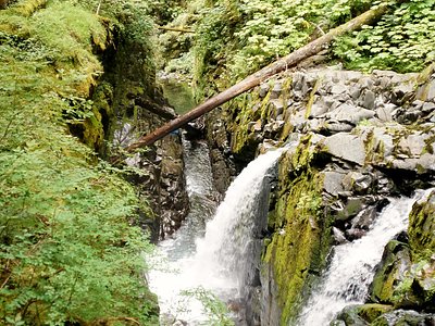 Sol Duc Falls